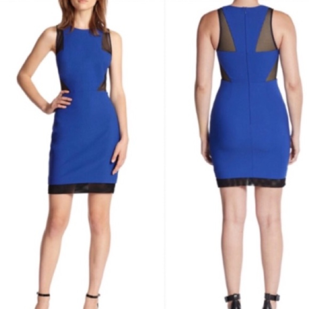 ELIZABETH AND JAMES Black and Royal Blue 'Johanna' Mesh Dress (Size 10)